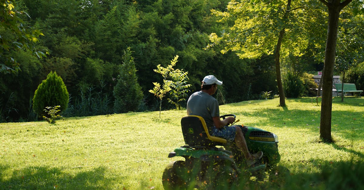 Lawn Maintenance